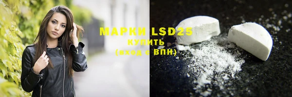 прущие грибы Покровск