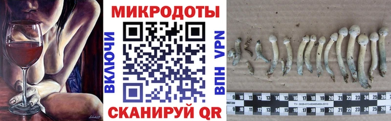 Галлюциногенные грибы прущие грибы Белый