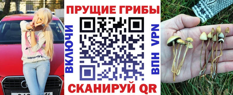 Галлюциногенные грибы Cubensis  Белый 
